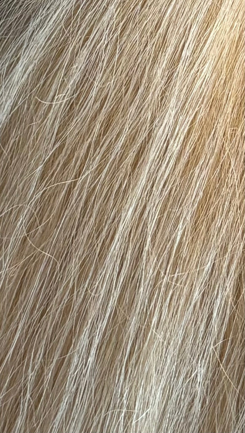 Pretty Platinum Raw Wig (13x6 HD Lace)