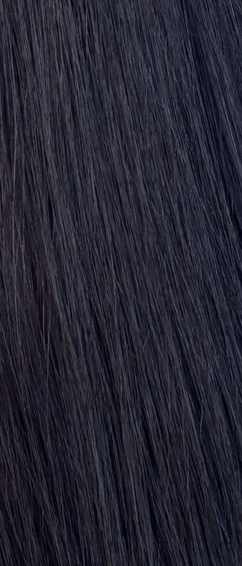 The Standard Raw Wig (13x6 HD Lace)